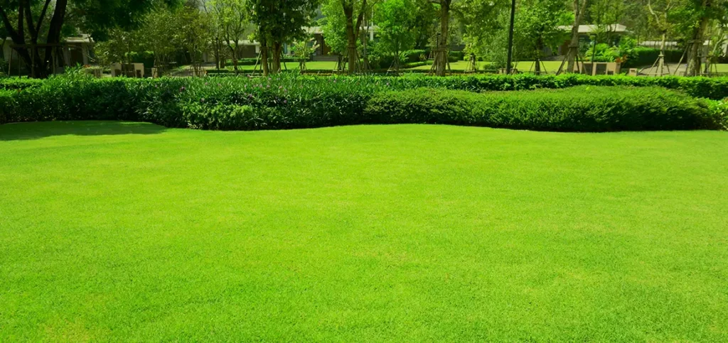 Godrej Park World The Gale Multipurpose Lawn